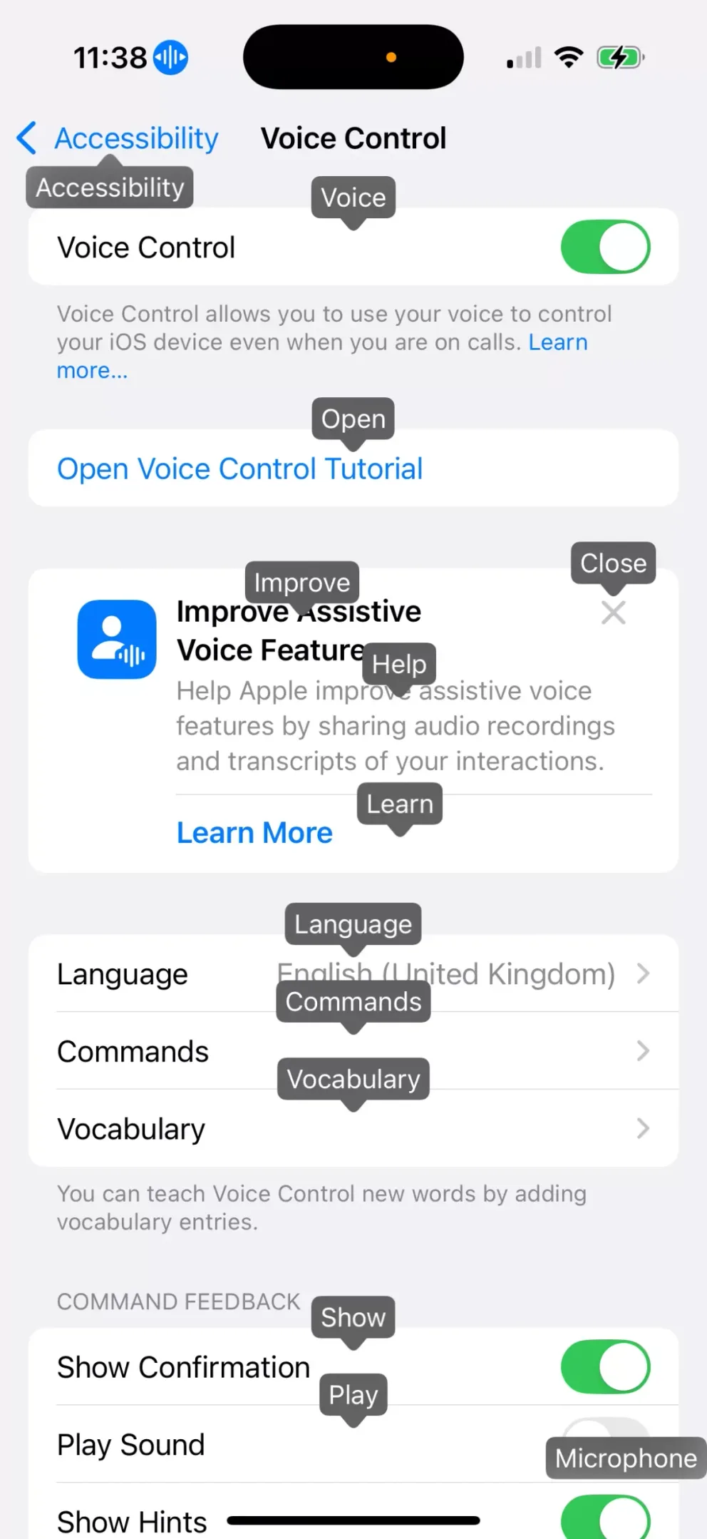 Voice control